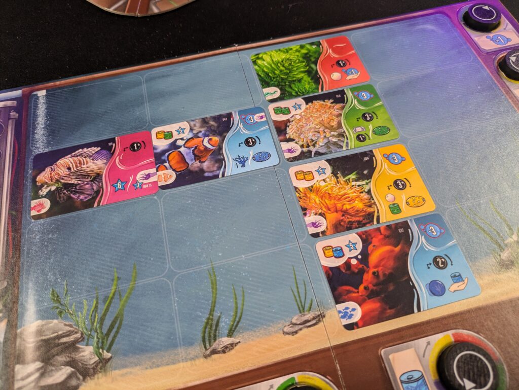 Aquaria Brettspiel, bunte Unterwasserwelt